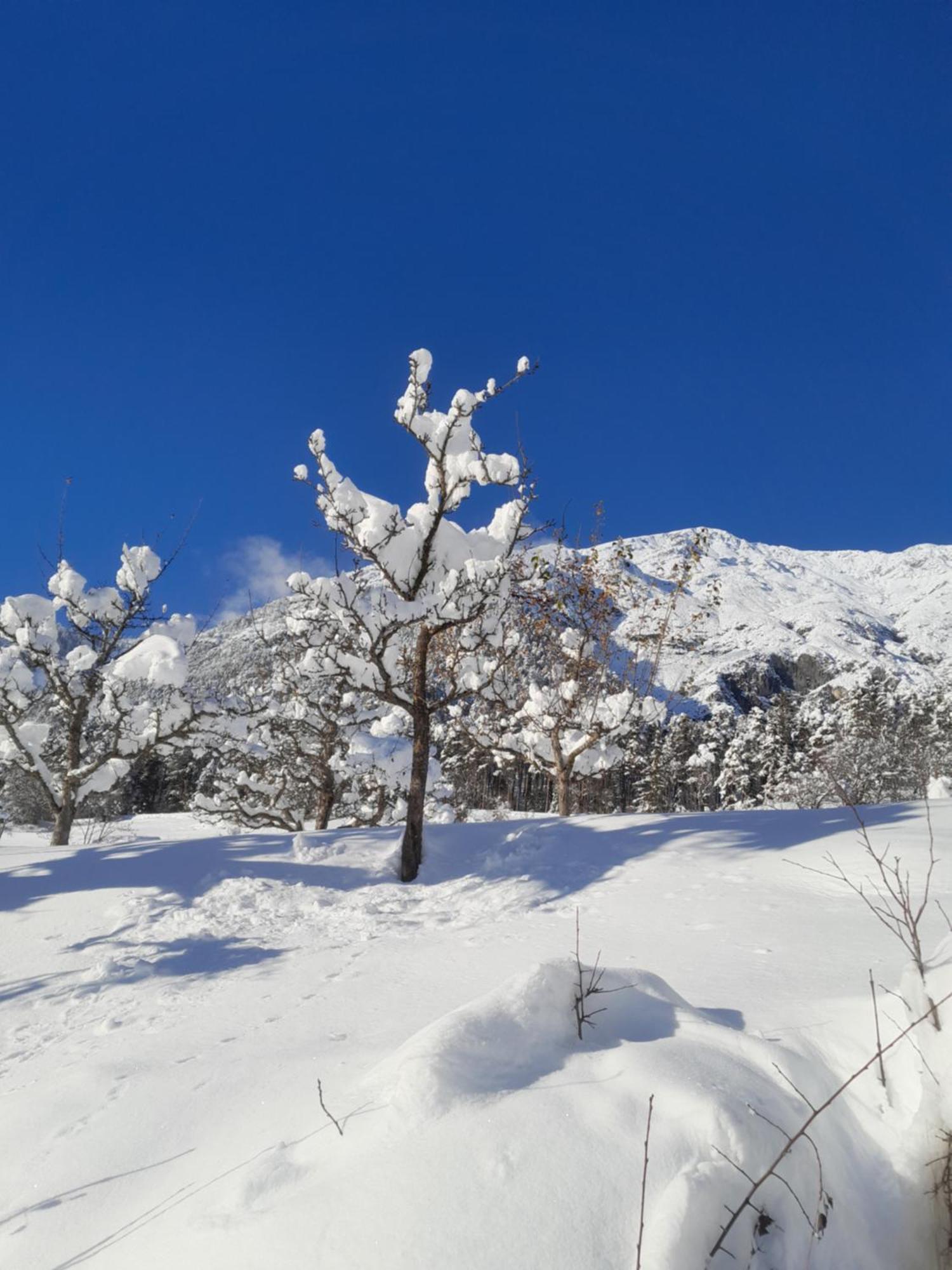 Appartamento Haus Hotz Landeck Esterno foto